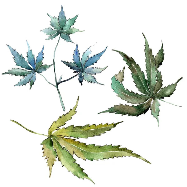 Gröna Cannabis Lämnar Akvarell Stil Isolerade Aquarelle Blad För Bakgrund — Stockfoto