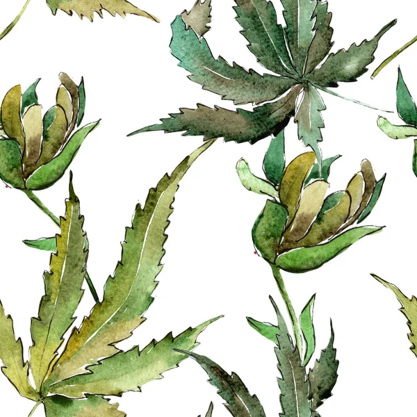 Yeşil esrar bir suluboya tarzında bırakır. Sorunsuz arka plan deseni. Kumaş duvar kağıdı yazdırma doku. Aquarelle yaprak için arka plan, doku, sarıcı desen, çerçeve veya kenarlık.