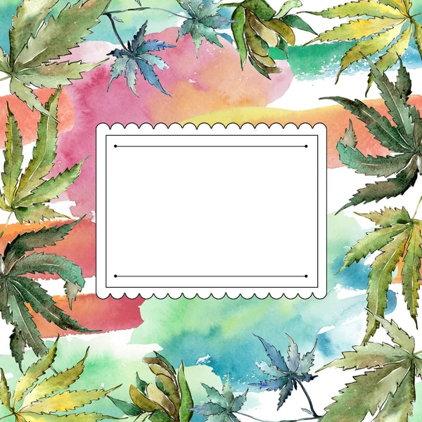 Yeşil esrar bir suluboya tarzında bırakır. Çerçeve kenarlığı süsleme Meydanı. Aquarelle yaprak için arka plan, doku, sarıcı desen, çerçeve veya kenarlık.