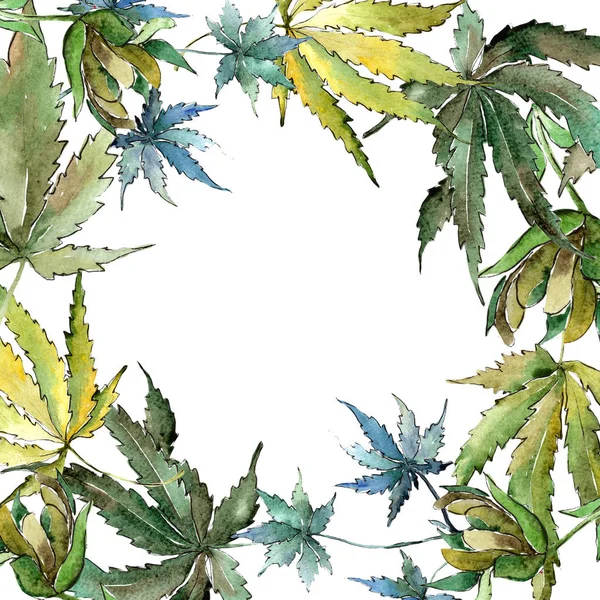 Yeşil esrar bir suluboya tarzında bırakır. Çerçeve kenarlığı süsleme Meydanı. Aquarelle yaprak için arka plan, doku, sarıcı desen, çerçeve veya kenarlık.
