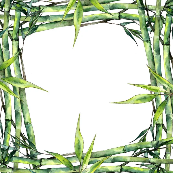 Bambusz Akvarell Stílusú Levelek Test Határ Dísz Tér Aquarelle Levél — Stock Fotó