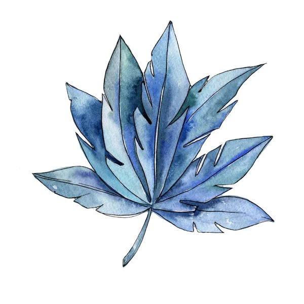 Renkli tropikal bitki. Botanik çiçek. İzole illüstrasyon öğesi. Arka plan, doku, sarıcı desen, çerçeve veya kenarlık için Aquarelle kır çiçeği.