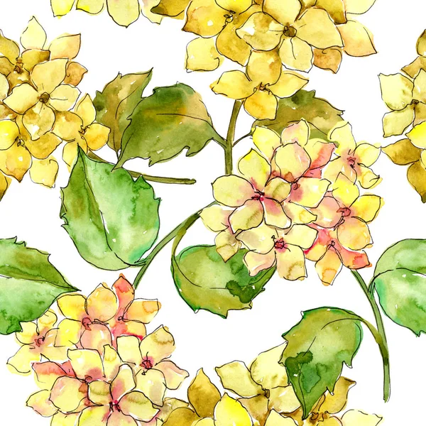 Renkli ortanca çiçek suluboya tarzında. Sorunsuz arka plan deseni. Bitki tam adı: ortanca. Arka plan, doku, sarıcı desen, çerçeve veya kenarlık için Aquarelle kır çiçeği.