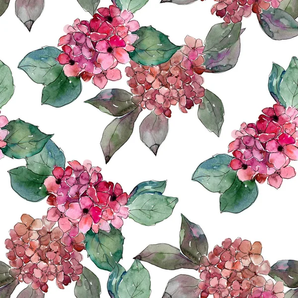 Renkli ortanca çiçek suluboya tarzında. Sorunsuz arka plan deseni. Bitki tam adı: ortanca. Arka plan, doku, sarıcı desen, çerçeve veya kenarlık için Aquarelle kır çiçeği.