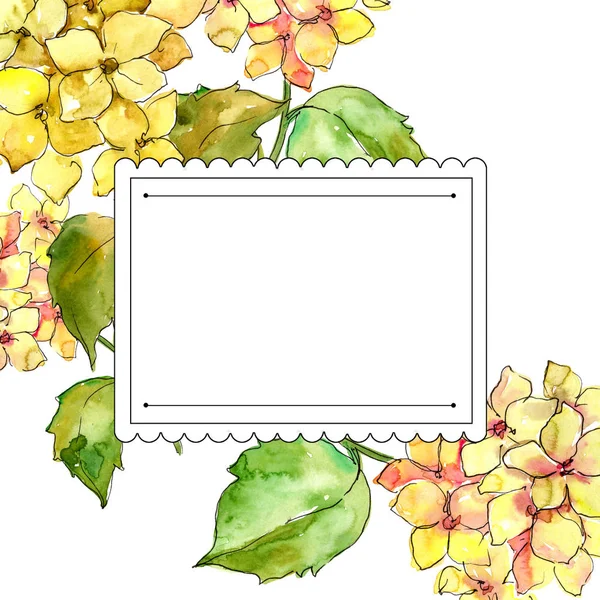 五颜六色的绣球花在水彩风格 框边框装饰广场 植物全名 绣球花 包装图案 框架或边框的水彩画野花 — 图库照片