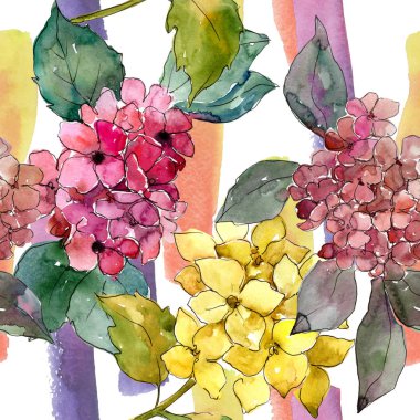 Renkli ortanca çiçek suluboya tarzında. Sorunsuz arka plan deseni. Bitki tam adı: ortanca. Arka plan, doku, sarıcı desen, çerçeve veya kenarlık için Aquarelle kır çiçeği.