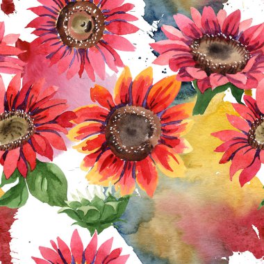 Kır çiçeği kırmızı ayçiçeği çiçek suluboya tarzında. Sorunsuz arka plan deseni. Kumaş duvar kağıdı yazdırma doku. Arka plan, doku, sarıcı desen, çerçeve için Aquarelle kır çiçeği.