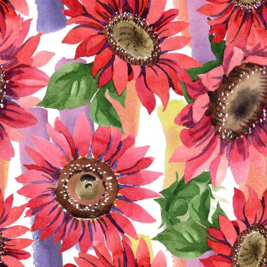 Kır çiçeği kırmızı ayçiçeği çiçek suluboya tarzında. Sorunsuz arka plan deseni. Kumaş duvar kağıdı yazdırma doku. Arka plan, doku, sarıcı desen, çerçeve için Aquarelle kır çiçeği.