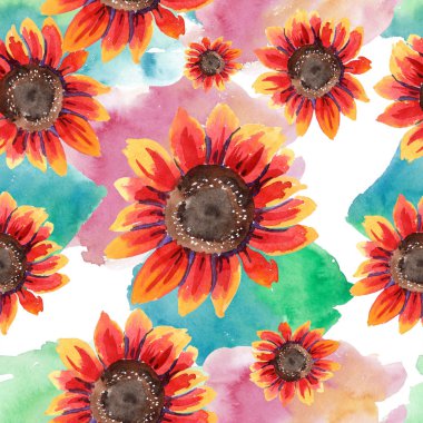 Kır çiçeği kırmızı ayçiçeği çiçek suluboya tarzında. Sorunsuz arka plan deseni. Kumaş duvar kağıdı yazdırma doku. Arka plan, doku, sarıcı desen, çerçeve için Aquarelle kır çiçeği.