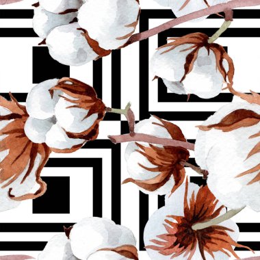 Yumuşak beyaz pamuklu. Botanik çiçek. Sorunsuz arka plan deseni. Kumaş duvar kağıdı yazdırma doku. Arka plan, doku, sarıcı desen, çerçeve veya kenarlık için Aquarelle kır çiçeği.