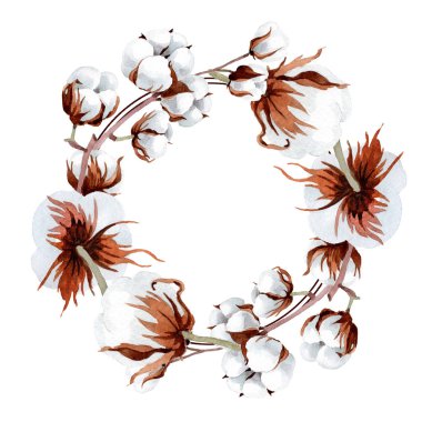 Softe Beyaz Pamuk. Botanik çiçek. Çerçeve kenarlığı süsleme Meydanı. Arka plan, doku, sarıcı desen, çerçeve veya kenarlık için Aquarelle kır çiçeği.