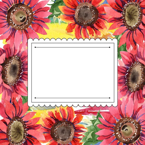 Wildflower red sunflower flower in a watercolor style. Frame border ornament square. Full name of the plant: sunflower. Aquarelle wildflower for background, texture, wrapper pattern, frame or border.