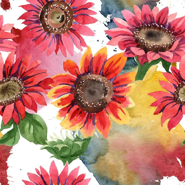 Kır çiçeği kırmızı ayçiçeği çiçek suluboya tarzında. Sorunsuz arka plan deseni. Kumaş duvar kağıdı yazdırma doku. Arka plan, doku, sarıcı desen, çerçeve için Aquarelle kır çiçeği.