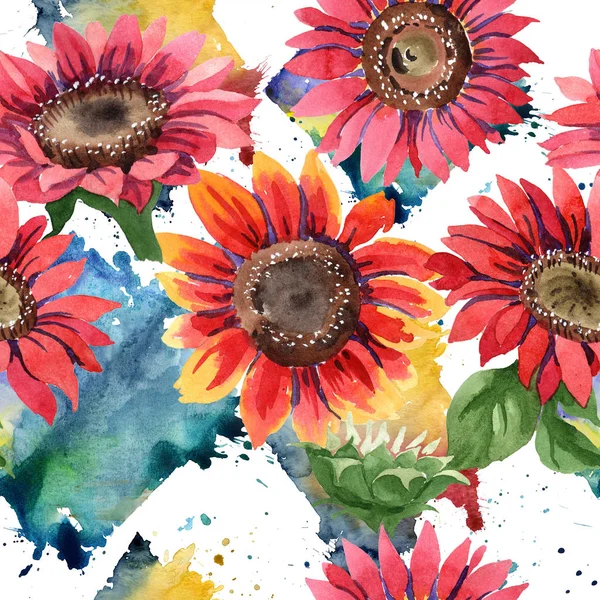 Kır çiçeği kırmızı ayçiçeği çiçek suluboya tarzında. Sorunsuz arka plan deseni. Kumaş duvar kağıdı yazdırma doku. Arka plan, doku, sarıcı desen, çerçeve için Aquarelle kır çiçeği.