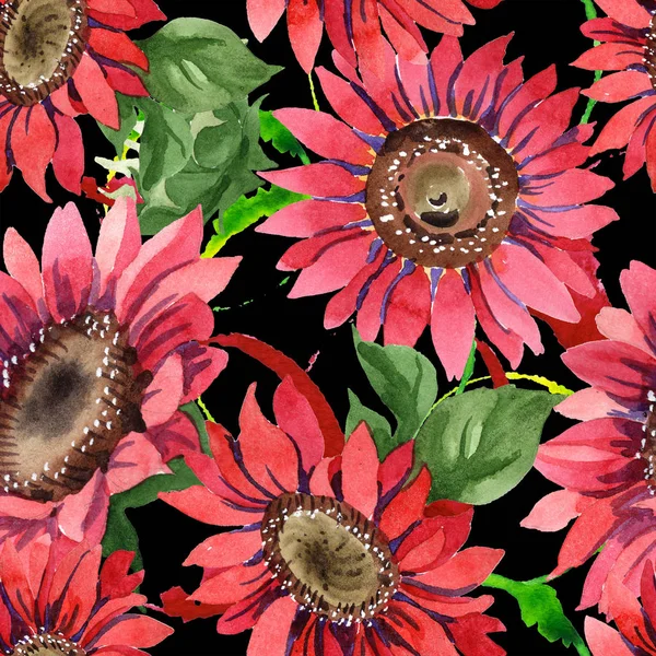 Kır çiçeği kırmızı ayçiçeği çiçek suluboya tarzında. Sorunsuz arka plan deseni. Kumaş duvar kağıdı yazdırma doku. Arka plan, doku, sarıcı desen, çerçeve için Aquarelle kır çiçeği.