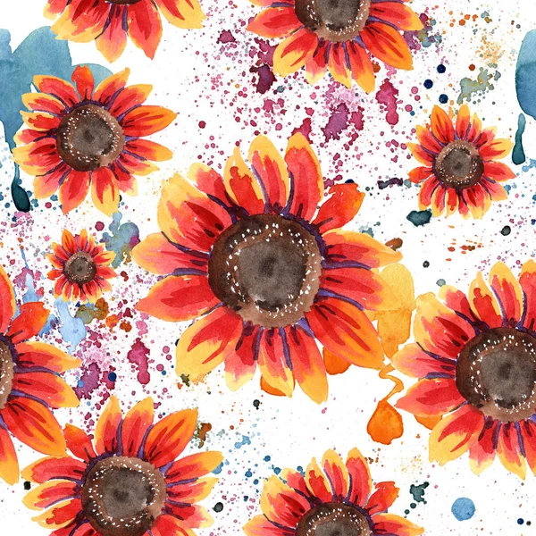 Kır çiçeği kırmızı ayçiçeği çiçek suluboya tarzında. Sorunsuz arka plan deseni. Kumaş duvar kağıdı yazdırma doku. Arka plan, doku, sarıcı desen, çerçeve için Aquarelle kır çiçeği.