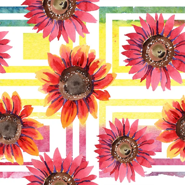 Kır çiçeği kırmızı ayçiçeği çiçek suluboya tarzında. Sorunsuz arka plan deseni. Kumaş duvar kağıdı yazdırma doku. Arka plan, doku, sarıcı desen, çerçeve için Aquarelle kır çiçeği.