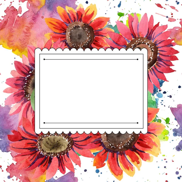 Fiore Girasole Rosso Wildflower Stile Acquerello Quadrato Ornamento Bordo Cornice — Foto Stock