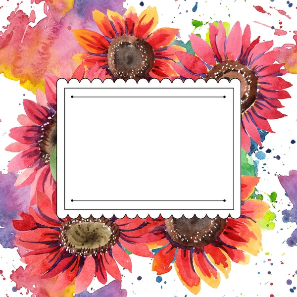 Wildflower red sunflower flower in a watercolor style. Frame border ornament square. Full name of the plant: sunflower. Aquarelle wildflower for background, texture, wrapper pattern, frame or border.
