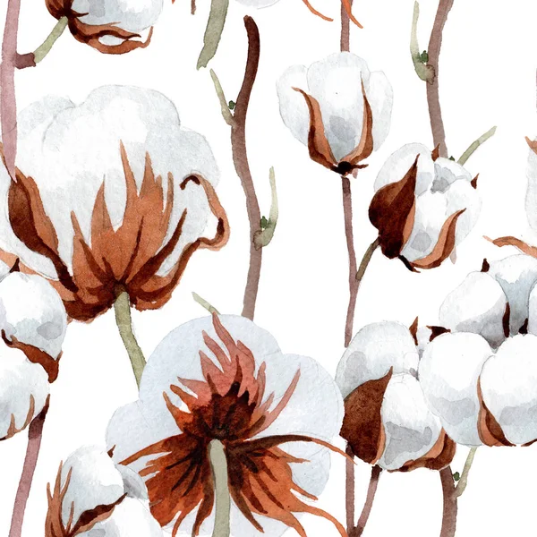 Yumuşak beyaz pamuklu. Botanik çiçek. Sorunsuz arka plan deseni. Kumaş duvar kağıdı yazdırma doku. Arka plan, doku, sarıcı desen, çerçeve veya kenarlık için Aquarelle kır çiçeği.