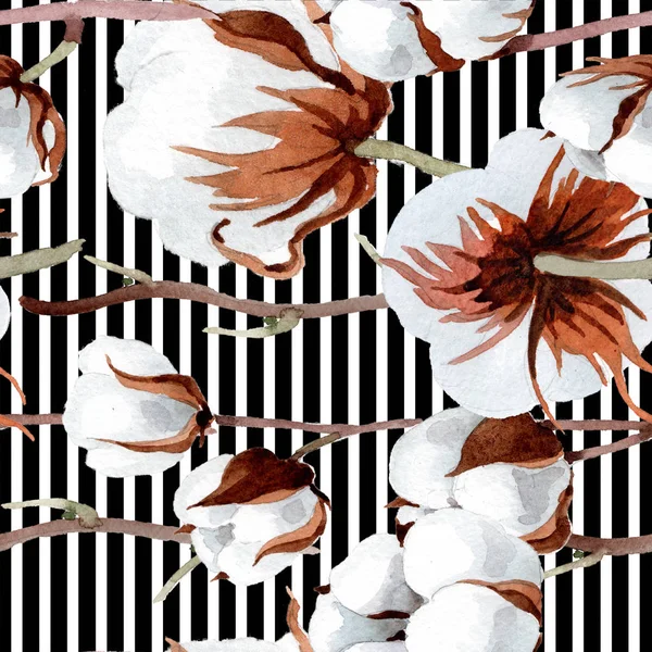 Yumuşak beyaz pamuklu. Botanik çiçek. Sorunsuz arka plan deseni. Kumaş duvar kağıdı yazdırma doku. Arka plan, doku, sarıcı desen, çerçeve veya kenarlık için Aquarelle kır çiçeği.