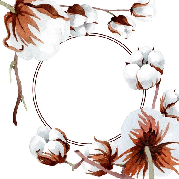 Softe Beyaz Pamuk. Botanik çiçek. Çerçeve kenarlığı süsleme Meydanı. Arka plan, doku, sarıcı desen, çerçeve veya kenarlık için Aquarelle kır çiçeği.
