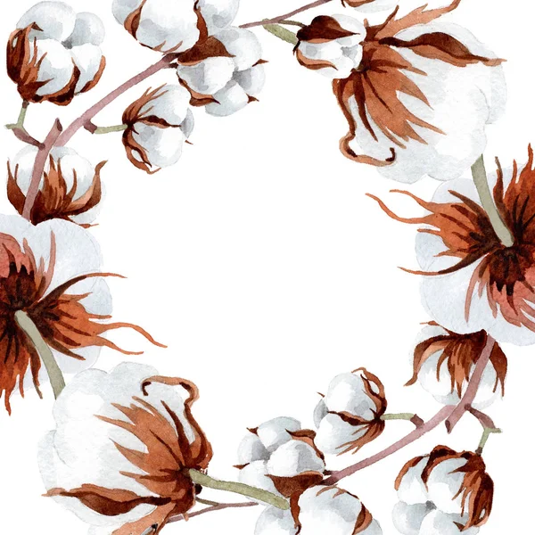 Weiche Weiße Baumwolle Blütenbotanische Blume Rahmen Bordüre Ornament Quadrat Aquarell — Stockfoto