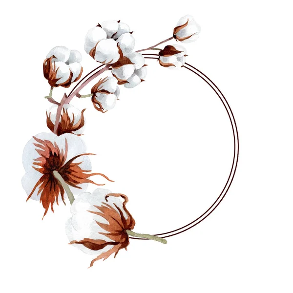 Miękka Bawełna Biały Botaniczny Kwiat Kwiatowy Ramki Granicznej Ornament Placu — Zdjęcie stockowe