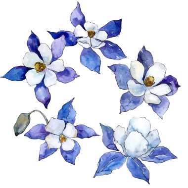 Mavi aquilegia çiçekler. Çerçeve kenarlığı süsleme. Arka plan, doku, sarıcı desen, çerçeve veya kenarlık için Aquarelle kır çiçeği.