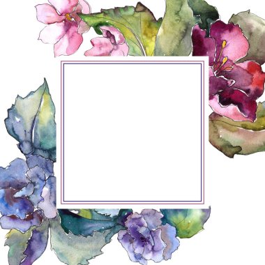 Renkli Gardenya çiçek. Botanik çiçek. Çerçeve kenarlığı süsleme Meydanı. Arka plan, doku, sarıcı desen, çerçeve veya kenarlık için Aquarelle kır çiçeği.