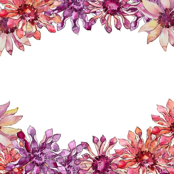 Kırmızı ve mor güller kır çiçeği. Botanik çiçek. Çerçeve kenarlığı süsleme Meydanı. Arka plan, doku, sarıcı desen, çerçeve veya kenarlık için Aquarelle kır çiçeği.