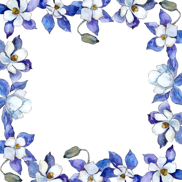 Blue aquilegia flowers. Frame border ornament. Aquarelle wildflower for background, texture, wrapper pattern, frame or border.