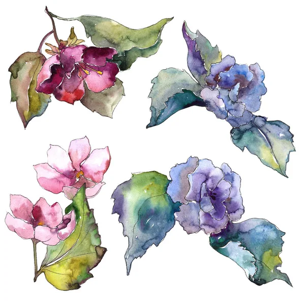 Красочные Цветы Гардении Цветочный Ботанический Цветок Изолированный Элемент Иллюстрации Aquarelle — стоковое фото