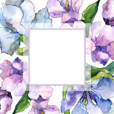Mor ve mavi alstroemeria çiçekler. Çerçeve kenarlığı süsleme Meydanı. Arka plan, doku, sarıcı desen, çerçeve veya kenarlık için Aquarelle kır çiçeği.