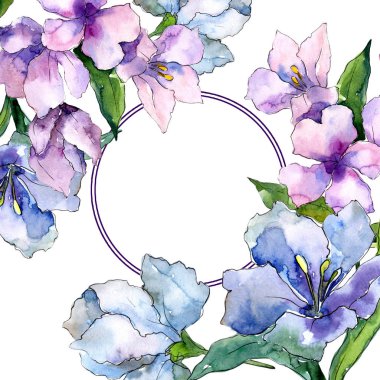 Mor ve mavi alstroemeria çiçekler. Çerçeve kenarlığı süsleme Meydanı. Arka plan, doku, sarıcı desen, çerçeve veya kenarlık için Aquarelle kır çiçeği.