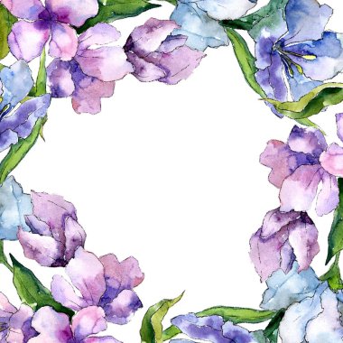 Mor ve mavi alstroemeria çiçekler. Çerçeve kenarlığı süsleme Meydanı. Arka plan, doku, sarıcı desen, çerçeve veya kenarlık için Aquarelle kır çiçeği.