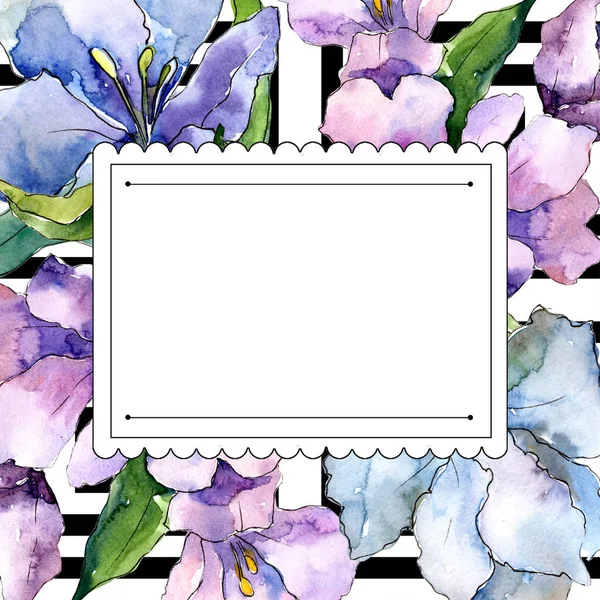 Purple and blue alstroemeria flowers. Frame border ornament square. Aquarelle wildflower for background, texture, wrapper pattern, frame or border.