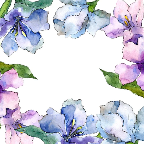 Mor ve mavi alstroemeria çiçekler. Çerçeve kenarlığı süsleme Meydanı. Arka plan, doku, sarıcı desen, çerçeve veya kenarlık için Aquarelle kır çiçeği.