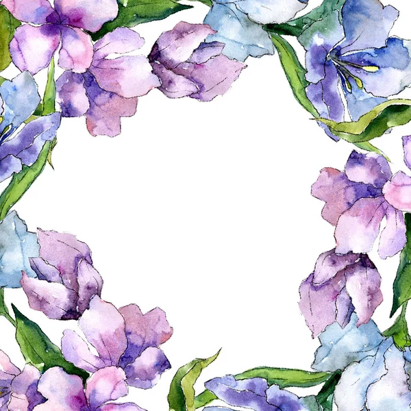 Mor ve mavi alstroemeria çiçekler. Çerçeve kenarlığı süsleme Meydanı. Arka plan, doku, sarıcı desen, çerçeve veya kenarlık için Aquarelle kır çiçeği.