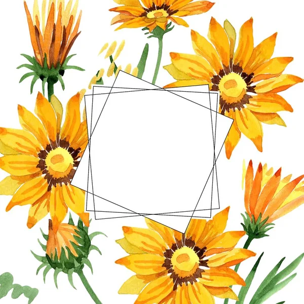 Yellow gazania flowers. Frame border ornament square. Aquarelle wildflower for background, texture, wrapper pattern, frame or border.