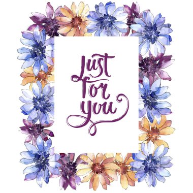 Renkli güller. Botanik çiçek. Çerçeve kenarlığı süsleme Meydanı. Arka plan, doku, sarıcı desen, çerçeve veya kenarlık için Aquarelle kır çiçeği.