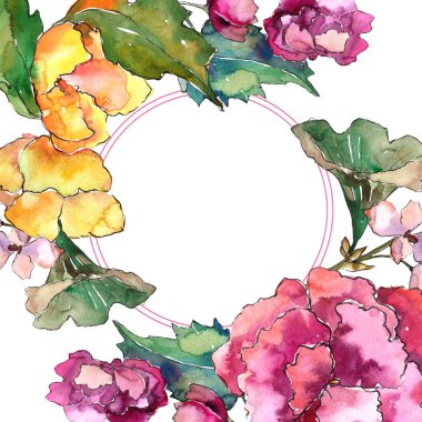 Pembe ve sarı gardania çiçek. Botanik çiçek. Çerçeve kenarlığı süsleme Meydanı.