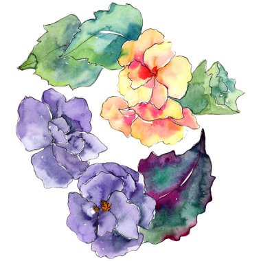 Mor ve turuncu gardania çiçek. Botanik çiçek. İzole illüstrasyon öğesi.