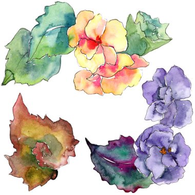 Mor ve turuncu gardania çiçek. Botanik çiçek. İzole illüstrasyon öğesi.