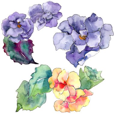 Mor ve turuncu gardania çiçek. Botanik çiçek. İzole illüstrasyon öğesi.