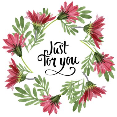 Kırmızı gazania çiçek. Botanik çiçek. Çerçeve kenarlığı süsleme Meydanı.