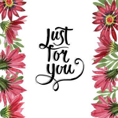 Kırmızı gazania çiçek. Botanik çiçek. Çerçeve kenarlığı süsleme Meydanı.