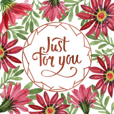 Kırmızı gazania çiçek. Botanik çiçek. Çerçeve kenarlığı süsleme Meydanı.