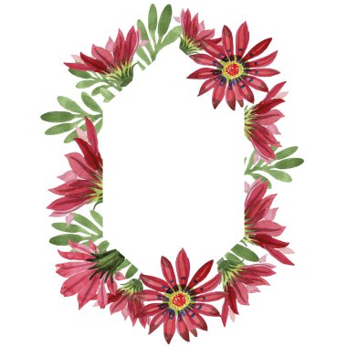 Kırmızı gazania çiçek. Botanik çiçek. Çerçeve kenarlığı süsleme Meydanı.