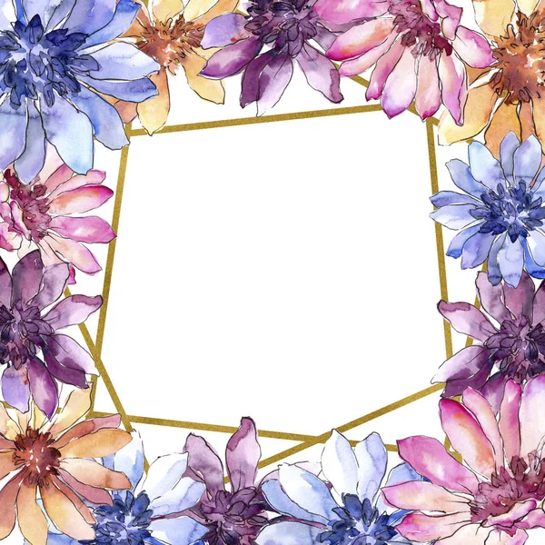 多彩的非洲雏菊 花卉植物花 框边框装饰广场 包装图案 框架或边框的水彩画野花 — 图库照片